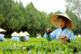 孙兴慜：理查利森是巴西首发前锋，伤愈后希望他进更多球